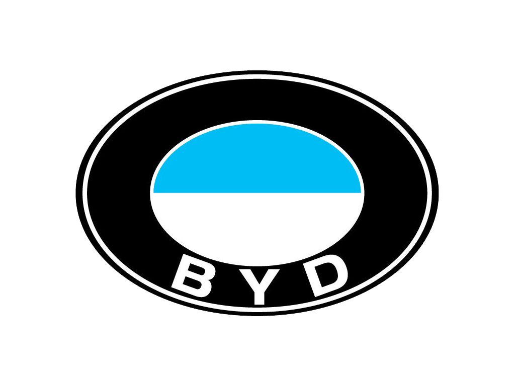 شعار BYD (1995)
